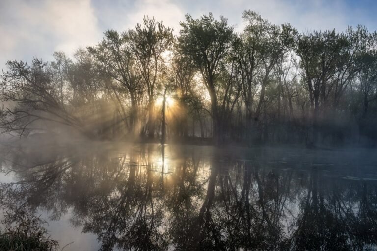 Golden sunrise breaking through misty trees reflected on a still lake at dawn